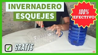 Mini Invernadero de esquejes casero 🌱 Efectivo y Gratis 🔥 2 Métodos. Esqueje de estaca y semi leñoso