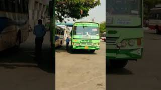 TSRTC Vs TNSETC Side By Side buses|| Moving Tubes