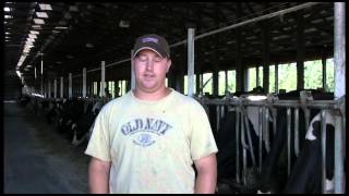 Sandman Free Stall Bedding Groomer for dairy herd managment