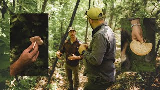 From Forest to Table // Mushroom Foraging Adventure with Butcher and Bee Restaurant