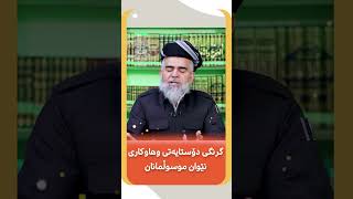 گرنگی دۆستایەتی و هاوكاری نێوان موسوڵمانان