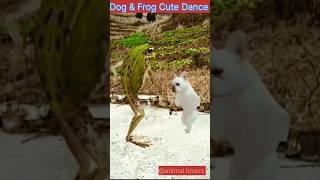 #dance#dog#froge#mix#dance#lovely #remix#dancevideo #bhojpurisong