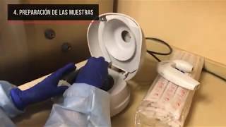 Protocolo QIAamp minElute Virus Spin EN QIACUBE (COMPLETO)