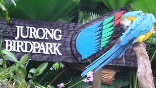 Jurong Bird Park - Singapore