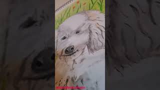 that just my baby dog💞💞 #petsvideos #babydog #drawing #puppies #dogvideos #funnypuppy