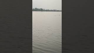 Lake in my village |Allah ho #allah #lake #river #ytshort #trending #viral #viralvideo #viralshorts