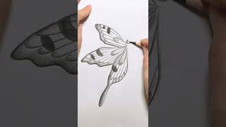 How to draw the butterfly 🦋#sketch ____#butterfly#drawing#ytshorts#love#nadaniya#craft