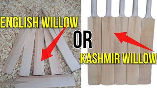 7 key Differences between english willow and kashmir willow