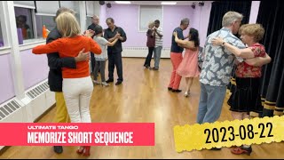 Ultimate Tango Wisdom presents memorize one sequence a week