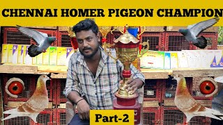 Chennai Racing Homer Pigeon Loft | Racing Champion Madhavaram Yuvraj | Chinnavane Periyavane