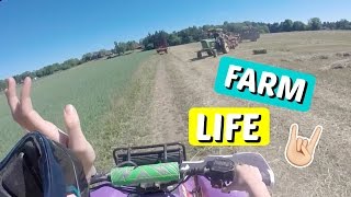 Polaris Scrambler Cruise