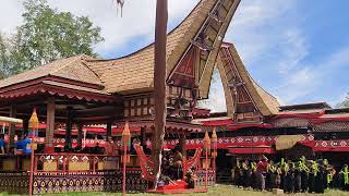 KEMEWAHAN Ritual Rambu Solo' TORAJA Di Bonoran. Mantarima Tamu