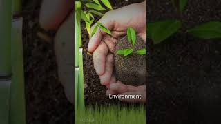 World soil day 2022 || Soil Day status ||