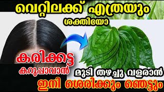 വെറ്റില ഉണ്ടോ?? മുടി കൊഴിച്ചിൽ മാറി കറുപ്പ് നിറം കിട്ടാൻ /hair dye /hair care /malayalam