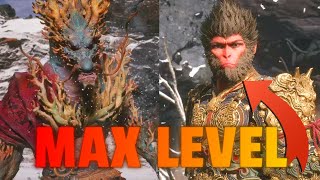 Black Myth: Wukong - No Damage - max level Boss Fight