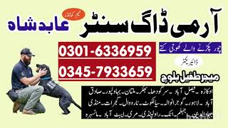 Army dog center Faisalabad | khoji Dog in Faisalabad