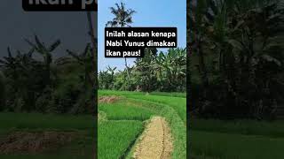 Owwhh jadi ini alasannya #kisah #kisahnyata #viralvideo #ceritaislami