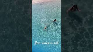 Ragazzi è uscito il nostro nuovo video! MAIORCA #mallorca #paradise #summer