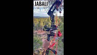 Bowhunting - Espera de Jabalí Con Arco