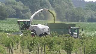 Landwirtschaftlicher Großeinsatz beim Lohnunternehmen Hannes Hauptmann Ganzpflanzensilage   GPS Häck