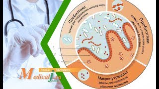 Дисбактериоз. Причины, симптомы, лечение дисбактериоза