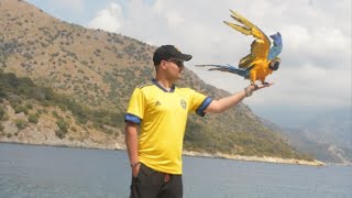 Fethiye Ölüdeniz🌊🌤️🪂🎬.  #fethiye #ölüdeniz #instagram #türkiye #youtubeshorts #youtube #reels