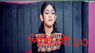 চলে আসলো পার্ট ১৩ পিচ্চি বৌ নাটক এর | দেখে আসুন পিচ্চি বৌ পার্ট ১৩