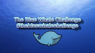 The Blue Whale Challenge - #locksport #thebluewhalelocksportchallenge