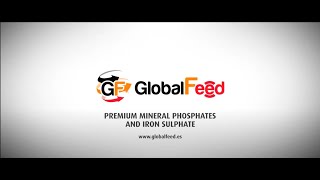 GLOBALFEED 2024