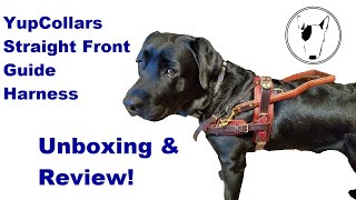 YupCollar Harness Unboxing/Review