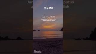 Janganlah kau berputus asa dari Rahmat Allah #Allah #Quran #azzumar #shorts