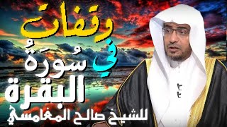 وقفات مع سورة البقرة 💚 | مقطع للدكتور صالح المغامسي مؤثر جدا