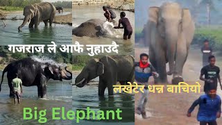 धन्न बाचियो हात्ती ले लखेटेर 😥Elephant bathing in River | jungle River #Hampi #TBRiver