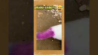 BABU GABOOOOT #shortvideo #funny #cat