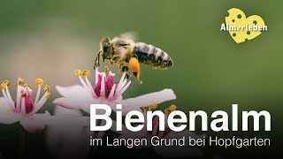 Almleben - Bienenalm im Langen Grund bei Hopfgarten