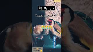 حضور پاک ﷺ نے فرمایا || اللّه کے خوف سے رو پڑنا || مولانا ثا قب رضا مصطفیٰ