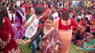 Dangali Local  Dance series Il Teej ll