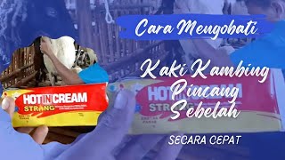 CARA MENGOBATI KAKI KAMBING PINCANG SEBELAH KIRI SECARA CEPAT