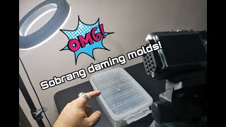 Molds Outbreak!!!