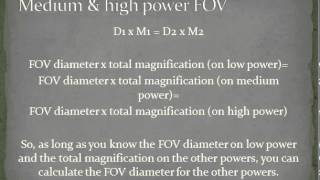 Calculating image and object sizes on a microscope.mp4