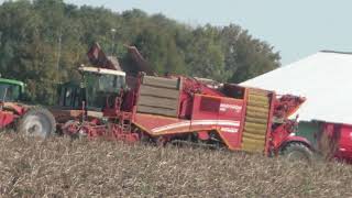 Die 4 reihigen selbstfahrenden Kartoffelroder Grimme VARITRON 470 TERRA TRAC beim Kartoffel Roden im