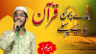 Ameer Hamza Mauvi ||New video|| न खेल कूद का मैदान चाहिए पहले #urdumushaira