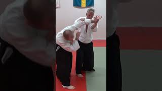 Aikido technique NIKYO against some grab and strike attacks, by Stefan Stenudd