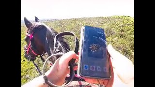 Horse Stuck in a Bog - Cavallo Hoof Boots STAY ON