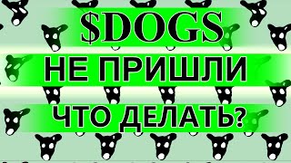 DOGS НЕ ПРИШЛИ? ЕСТЬ ЕЩЕ 2 НЕДЕЛИ!