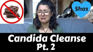 Candida Cleanse Tips | DIET, LIFESTYLE + SUPPLEMENTS