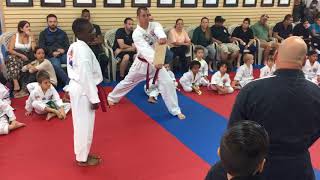 Taekwondo Test red belt