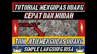 CARA MENGUPAS UDANG DENGAN CEPAT , DAN MUDAH , dan trik jitu mengupas udang simple langsung bisa.