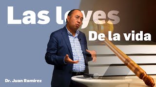 LAS LEYES DE LA VIDA