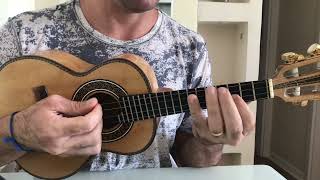 Introdução Quem casa quer casa - Ferrugem - solo Cavaquinho